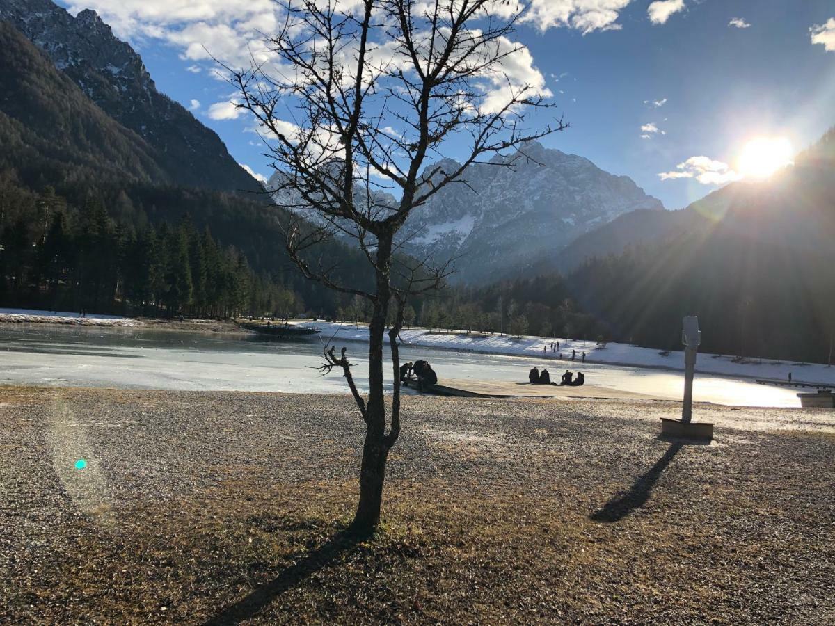 Apartments Vita Kranjska Gora Eksteriør bilde